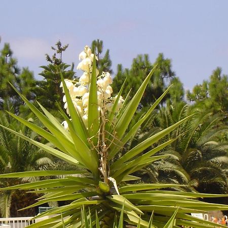 Ikaria Village Maisonette 10 Klorakas Exteriör bild