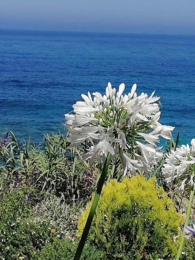 Ikaria Village Maisonette 10 Klorakas Exteriör bild